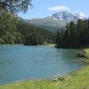 Ferienwohnungen in der Region St. Moritz - Engadin