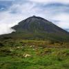 Hotels on Pico island