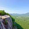 Pet-Friendly Hotels in Cranmore Mountain Resort