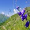 Hôtels dans cette région : Naturpark Zirbitzkogel - Grebenzen 