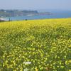 Hôtels dans cette région : Belle-Île-en-Mer