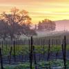 Paso Robles Wine Country : hotel