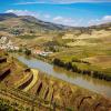 Strada del Porto: agriturismi