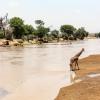 Hoteles en Isiolo