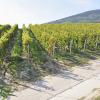 Hótel á svæðinu Tokaj Wine Region