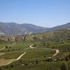 Hoteller i Colchagua Valley vinrute