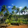 Hotels on Mangaia