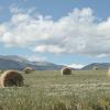 Campings dans cette région : Cerdagne française