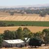 B&Bs in Clare Valley