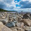 Hoteles que aceptan mascotas en Isla Manitoulin