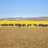 Lodges in Klein Karoo