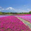 Campsites in Yamanashi