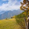 Hotellit alueella Foreste Casentinesi, Monte Falterona e Campigna -luonnonpuisto