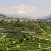 Farm stays in Val di Non