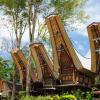 Hotels in Sulawesi