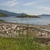 Cottages on Orcas Island