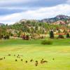 Hotellit alueella Black Hills National Forest