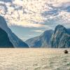 Fiordland National Parkのホテル