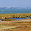 Hotels with Parking in Neusiedler See-Seewinkel National Park