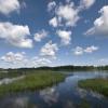 Campsites in Lake Usma