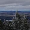 Lemmikloomasõbralikud hotellid regioonis Okemo Mountain