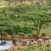 Cabins in Samburu National Reserve