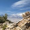 Eastern Sierra evcil hayvan dostu otelleri