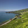 Hoteluri ieftine în Vaud