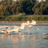 Guest Houses in Danube