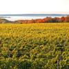 Hotels in Traverse City Wineries