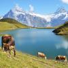 Hôtels dans cette région : Les Alpes