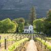 Farm stays in Cape Winelands