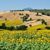 Vacation Homes in Marche
