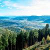 Hôtels dans cette région : Forêt Noire