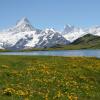 Hôtels spa dans cette région : Oberland bernois