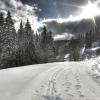 Hôtels spa dans cette région : Feldberg