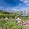 Chalets de montaña en Pirineos