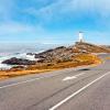 Хотели, които приемат домашни любимци, в района на Camino dos Faros