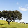 Farm Stays in Alentejo