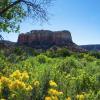 Pet-Friendly Hotels in New Mexico