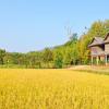 Hotels in North-Eastern Thailand