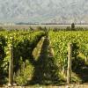 Wine Route Mendoza: hotel