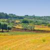 Casas de campo en Valle d'Itria