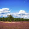 Luneburg Heath otelleri