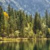 Hôtels dans cette région : Forêt bavaroise