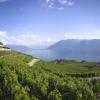 Apartments in Lake Geneva