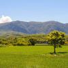 Homestays in Taitung County