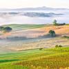 Toscana: case di campagna