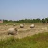 Готелі в регіоні Southern Great Plain