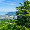 Guest Houses in Batumi Coast